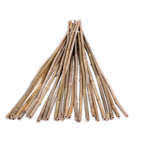 Evergarden Bamboo Stakes 6' 25/pk - Hygro Gardening Supplies