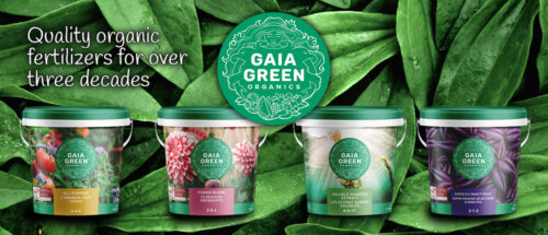 Buy Gaia Green