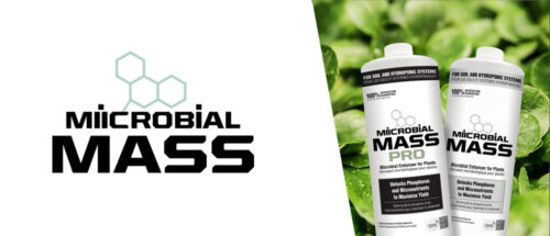 microbial mass buy here